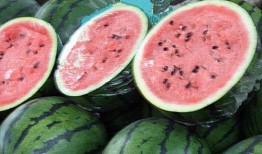 黑网料吃瓜网2024免费,揭秘娱乐圈幕后真相，免费畅享独家爆料