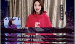 金晨爆料陈赫视频播放,揭秘背后真相与情感纠葛