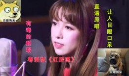 囡囡在线观看完整粤语,穿越时空的青春恋曲