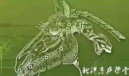 马医高清在线观看,宫廷医术传奇，宫廷秘闻大揭秘