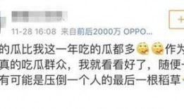 吃瓜娱乐全网收集,吃瓜娱乐，揭秘娱乐圈幕后故事